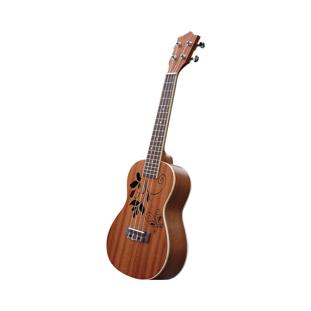 Sapele - immagine 2